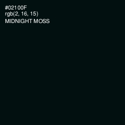 #02100F - Midnight Moss Color Image